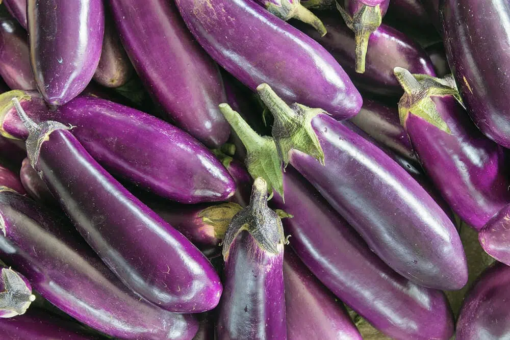 Comment manger des aubergines pour perdre du poids ?