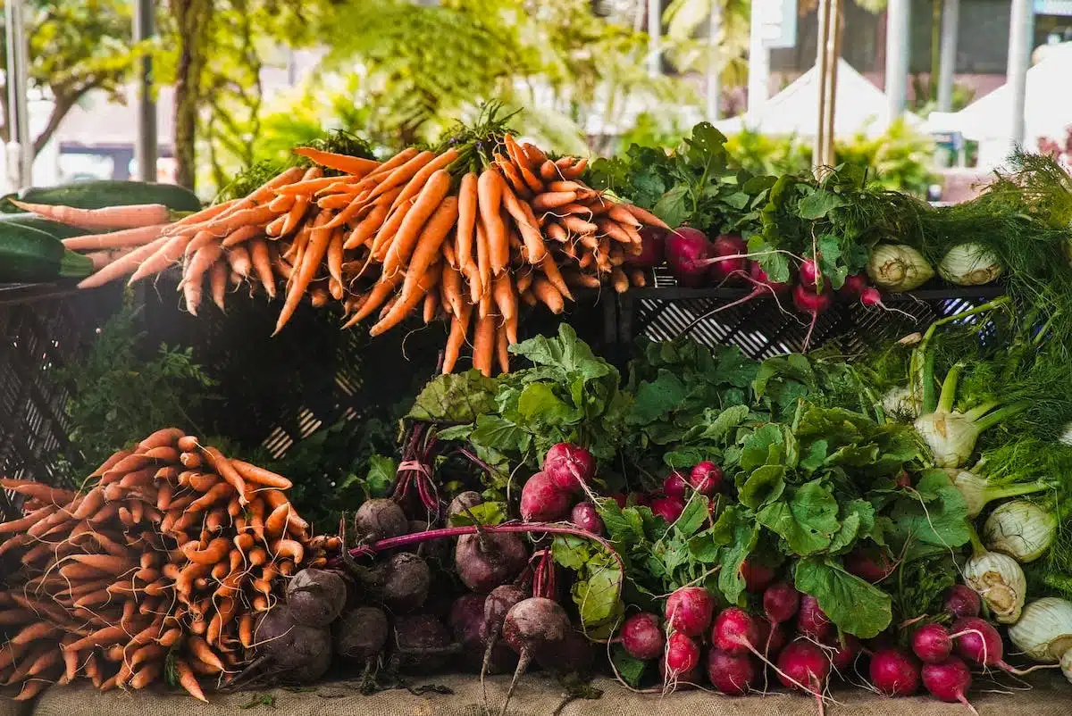 Des idées de recettes pour cuisiner avec des produits locaux et de saison