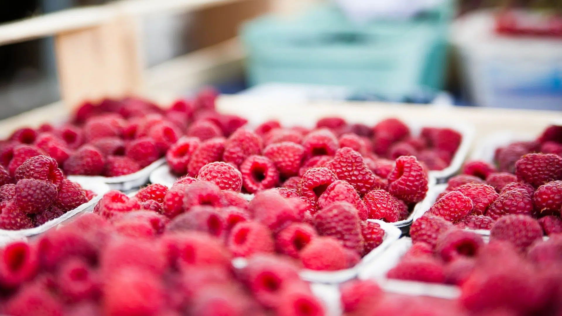 A la découverte du meilleur marché de Bordeaux