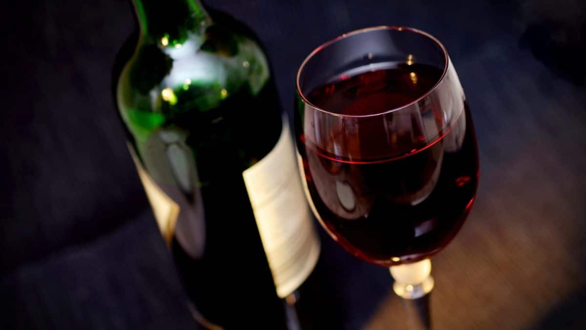 Bien choisir son vin au restaurant : les conseils de Stéphane Hayot