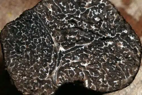 Comment bien cuisiner la truffe noire ?