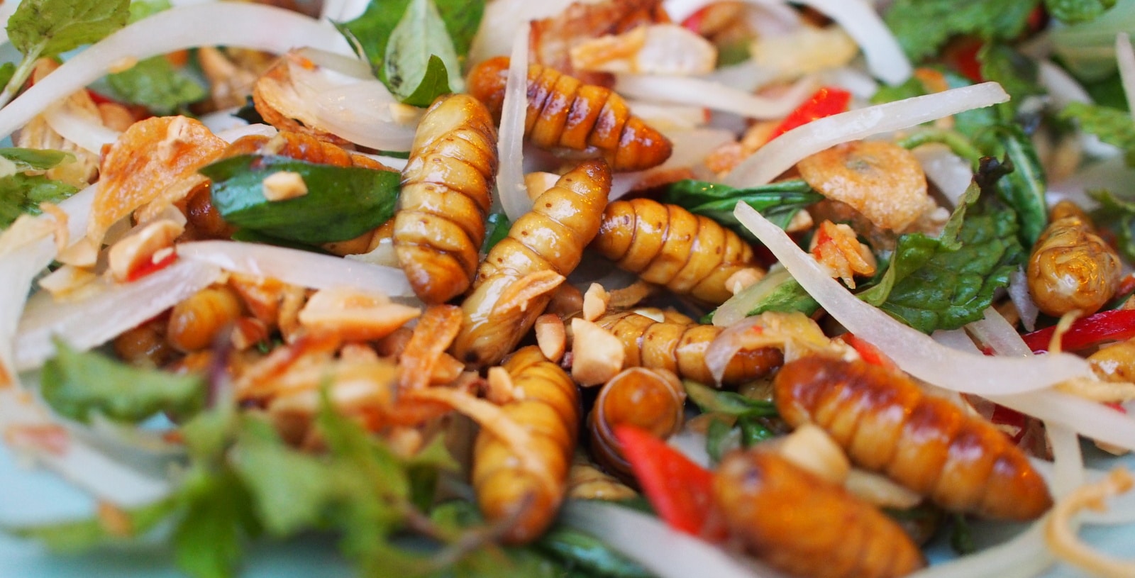 Peut-on vraiment manger des insectes ?