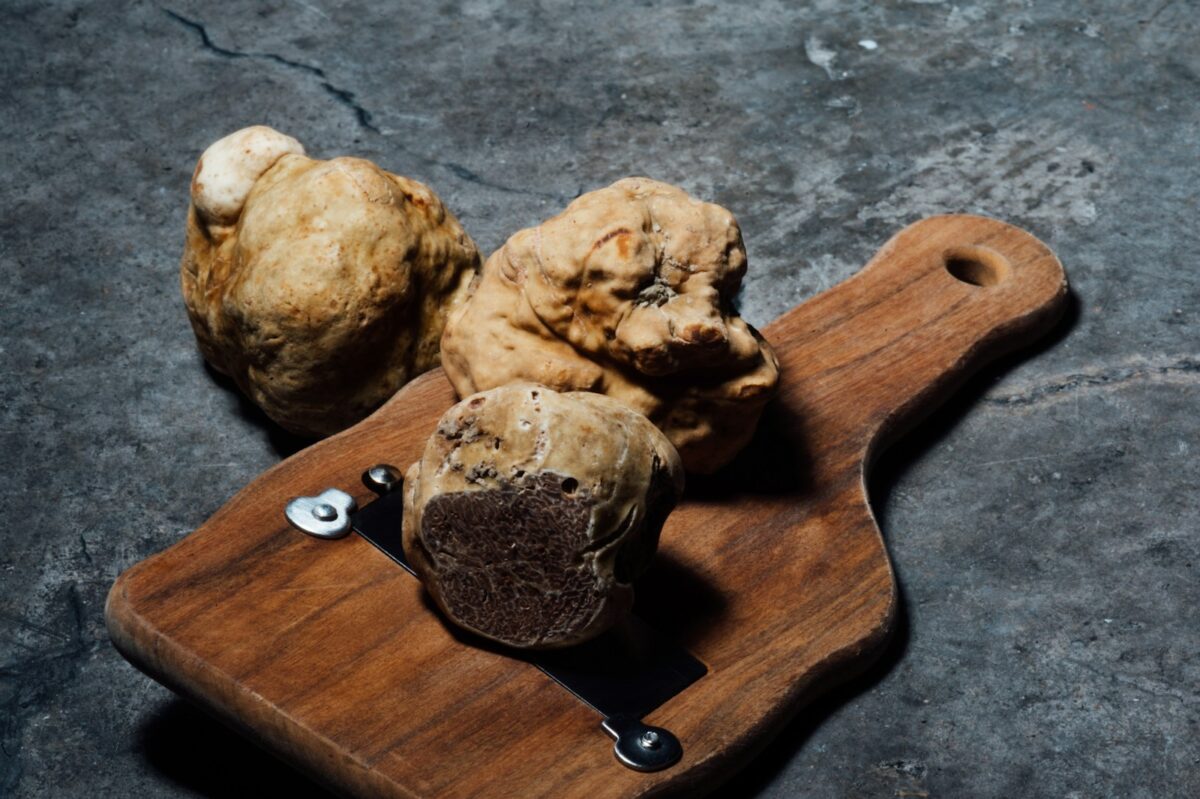 Consommation de la truffe : retenir les principaux bienfaits